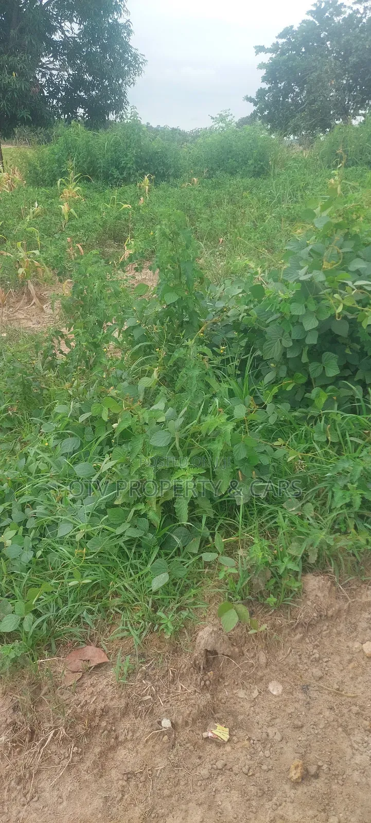 1100 SQM of Land With Structure at Maitama Abuja for Sale in Maitama