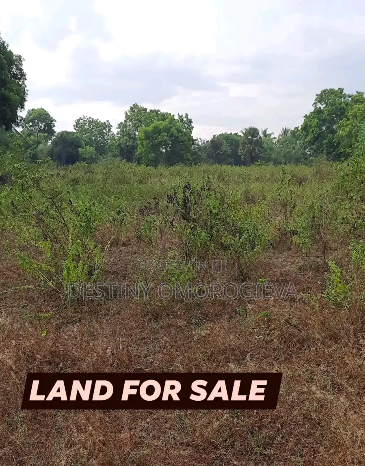 Land for Sale in Ikpoba-Okha