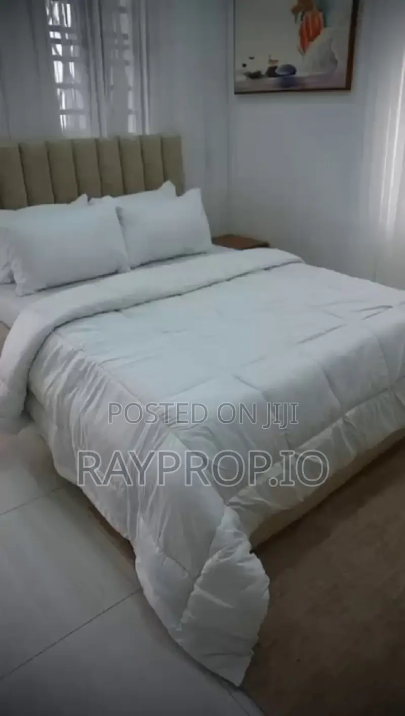 509869ii - 2 Bedroom Shortlet in Ikate Lekki in Ikate