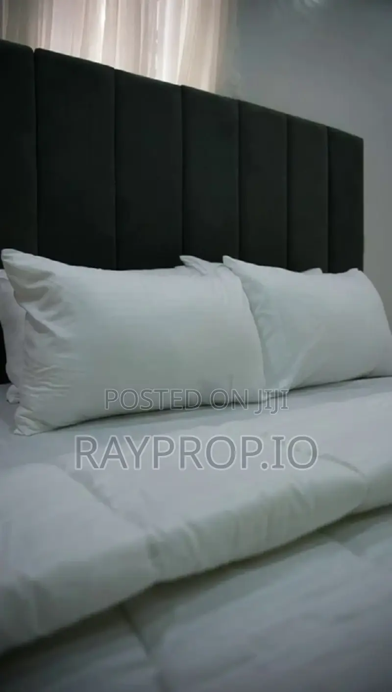 509869ii - 2 Bedroom Shortlet in Ikate Lekki in Ikate