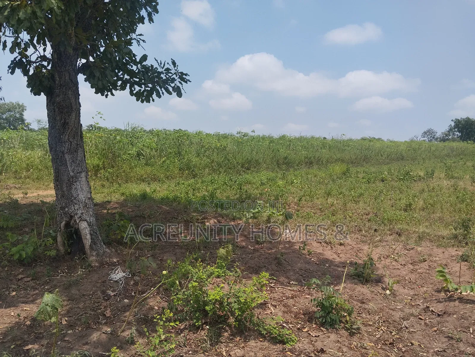 100 Acres of Fertile Farmland – Okeho, Kajola Local Govt Oyo State in Kajola