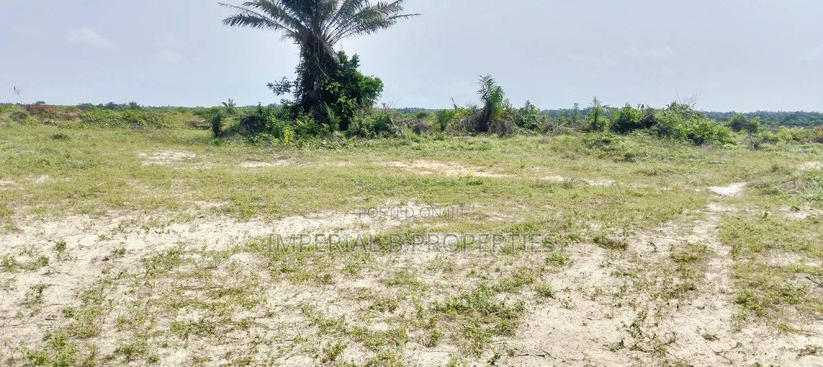 Zenytal Gardens Ii Elerangbe Ibeju Lekki Lagos Now Selling in Elerangbe