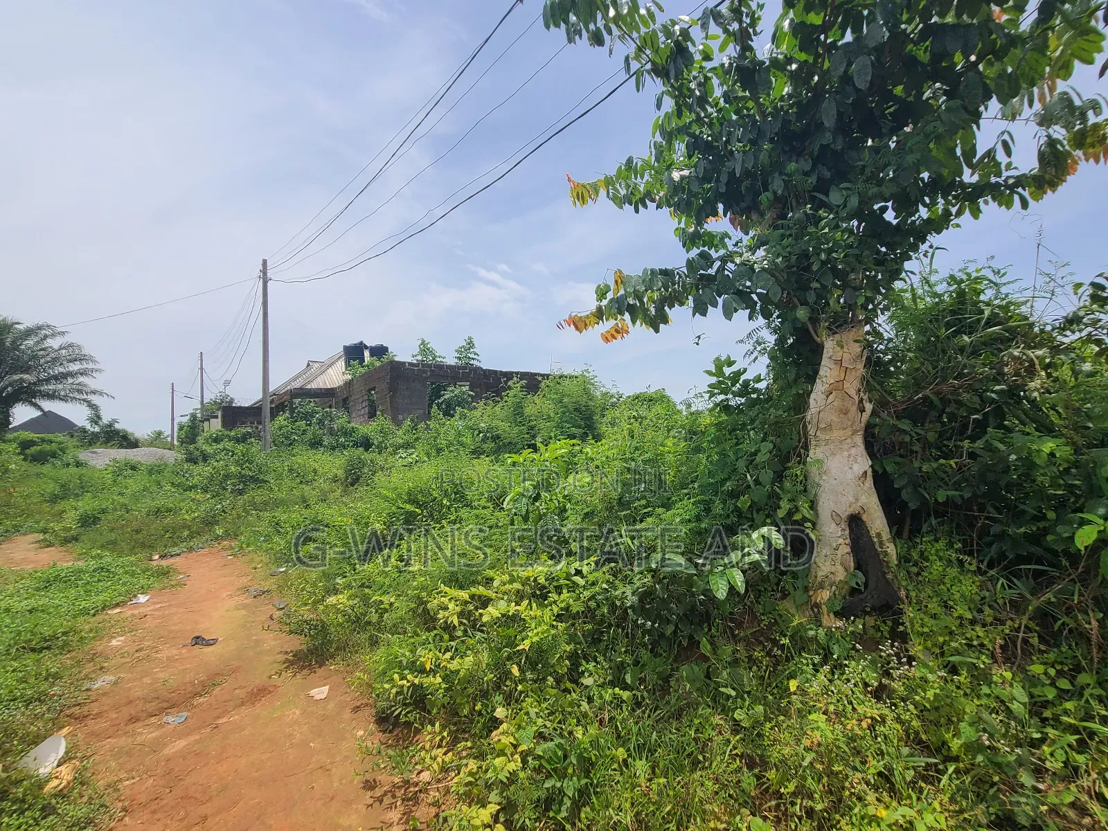 For Sale: 100ft by 100ft at Obayantor With Cofo in Benin City