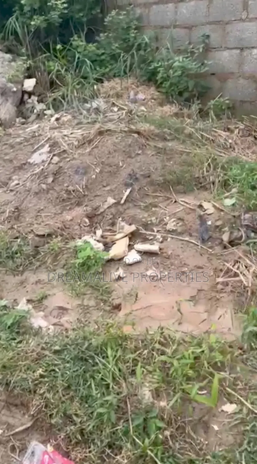 C of O Document in Asokoro