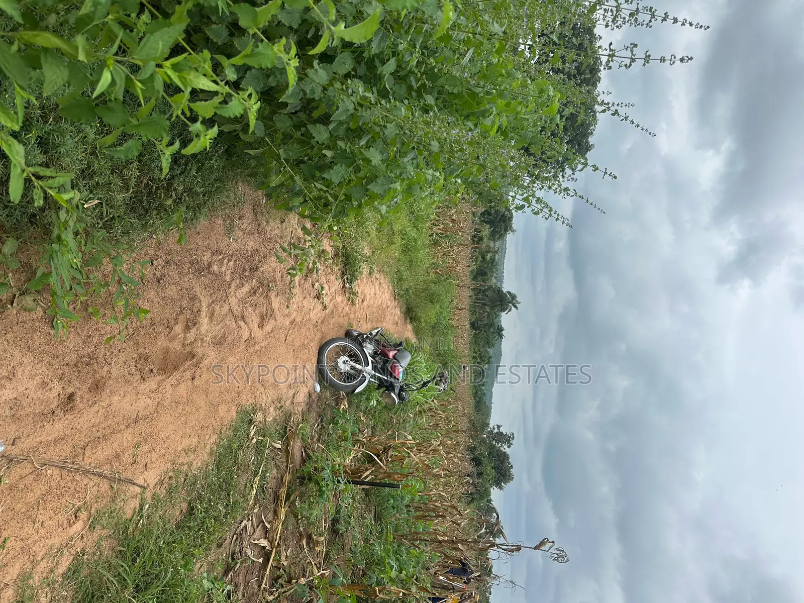 1000 Acres of Land at Ilero Town, Kajola Local Government Area in Kajola