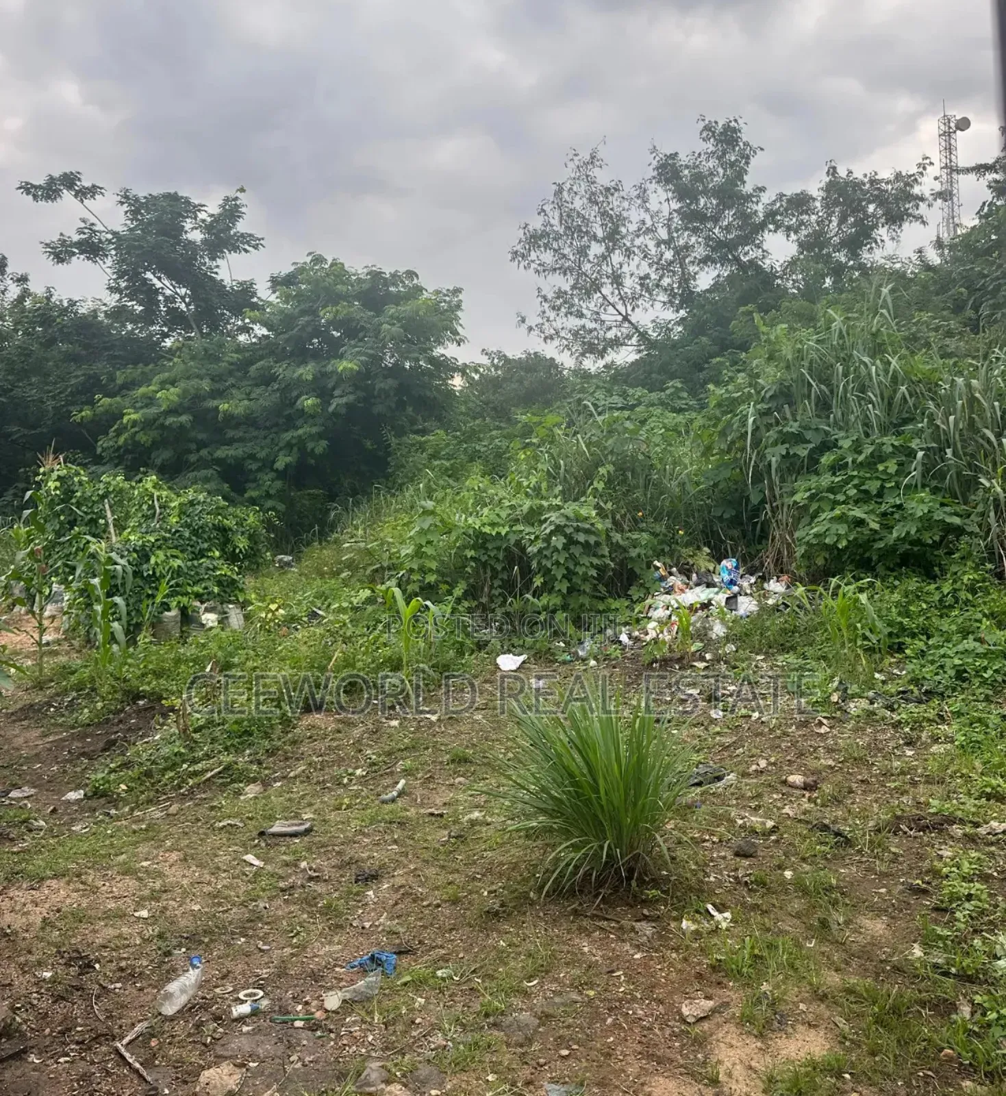 2 and Half Plot of Land Over 1200sqm in Akala Express