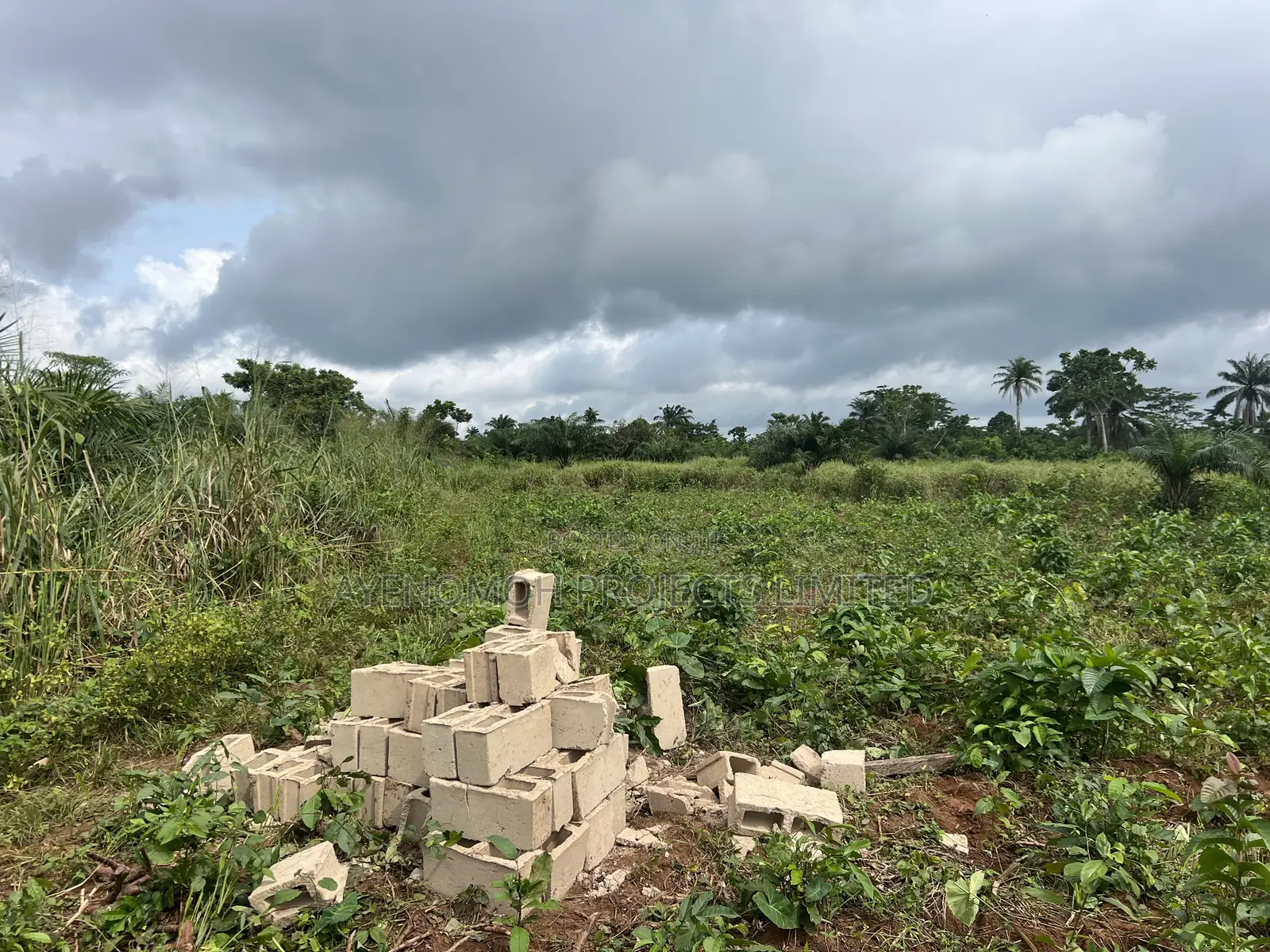 Farmland at Eredo 10 Acres in Ado-Odo/Ota