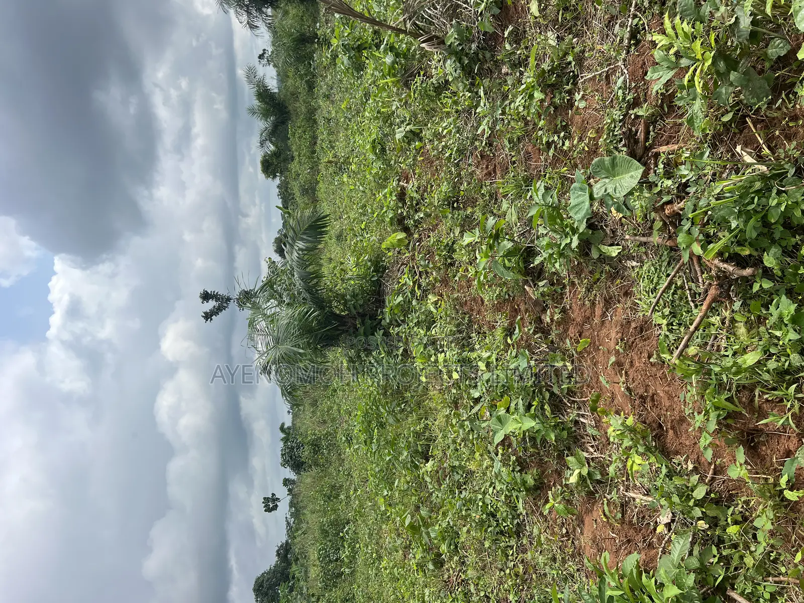Farmland at Eredo 10 Acres in Ado-Odo/Ota