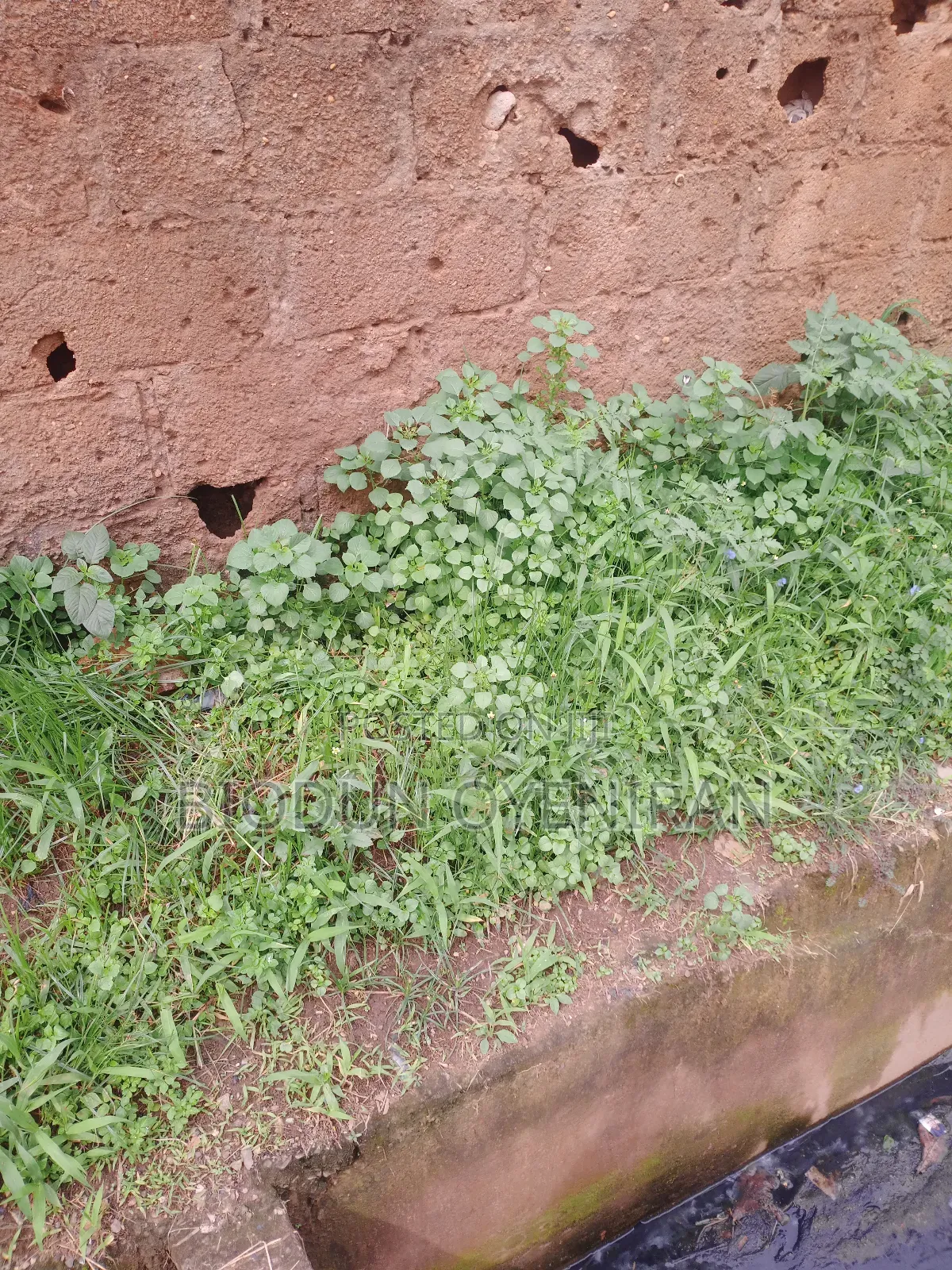 Large Expanse of Land at Surulere in Bode Thomas