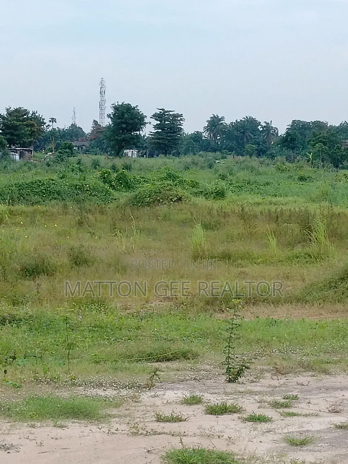 Land for Sales in Western Avenue