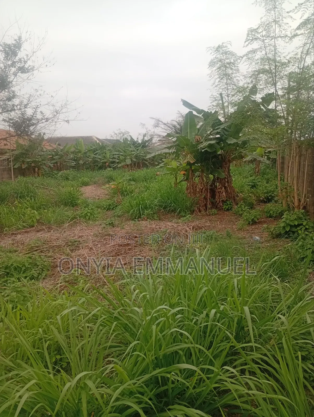 Land for Sale in Agric