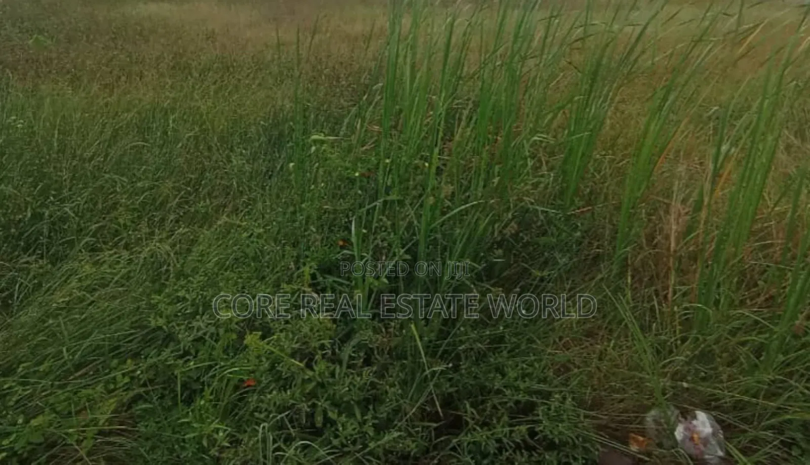 Investment With Big Roi, Oviri Okpe Lga, Delta State in Umuahia
