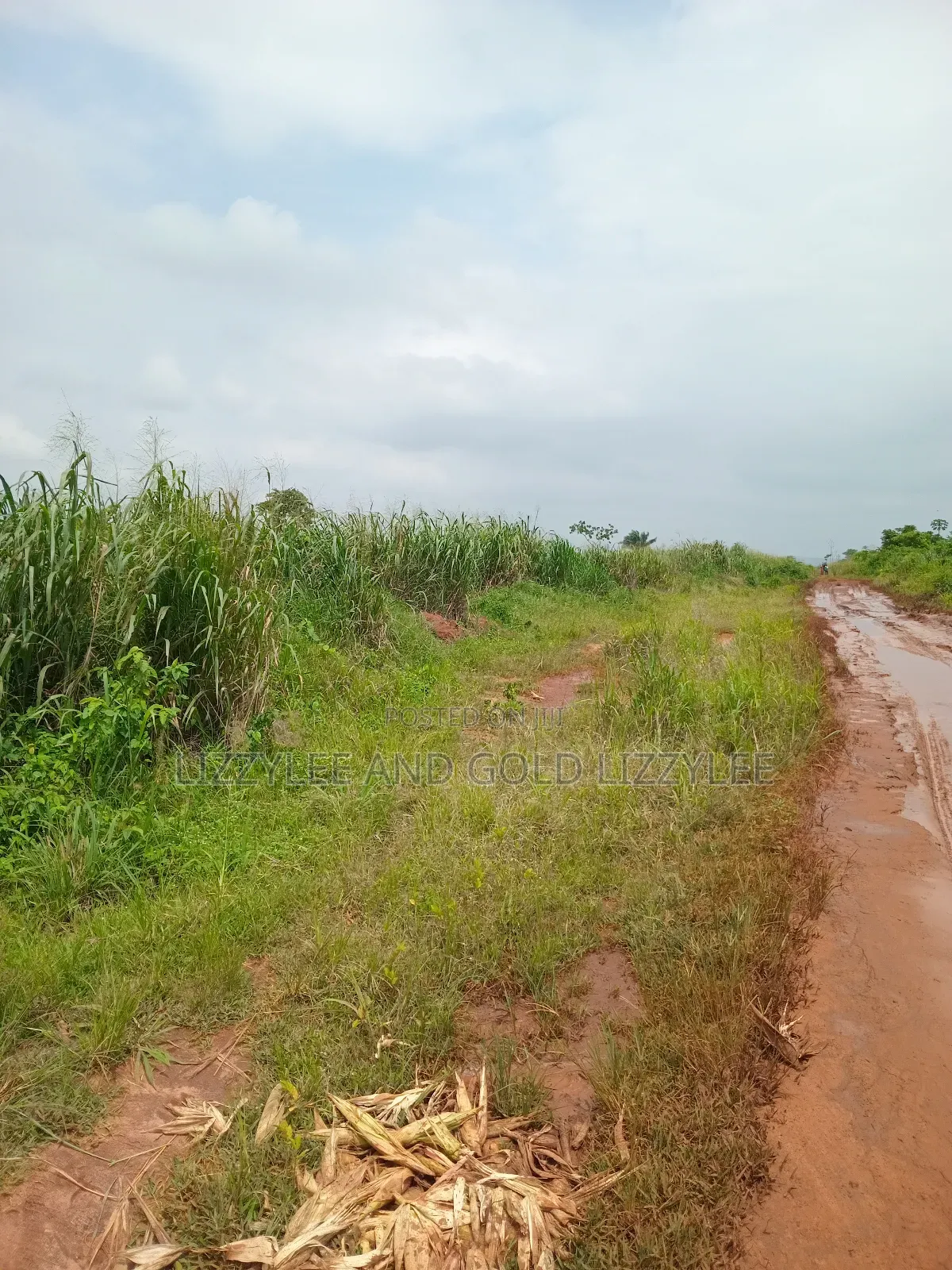 About 2000 Acres of Farmland for Sale in Ilaro