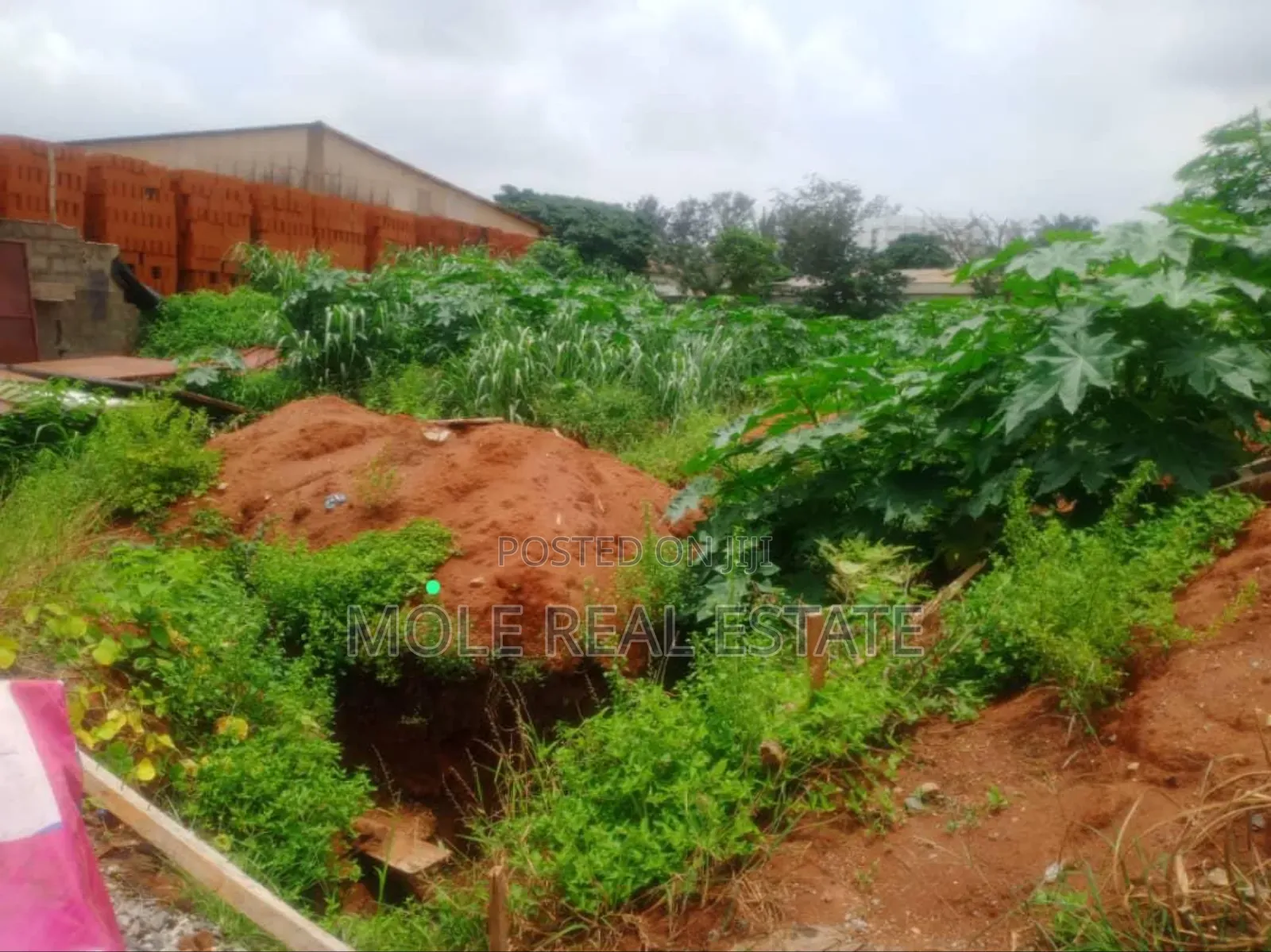 30ft by 162ft (Plot ) in an Estate Rd Iguando Near Ikotun Alimosho in Igando / Ikotun/Igando