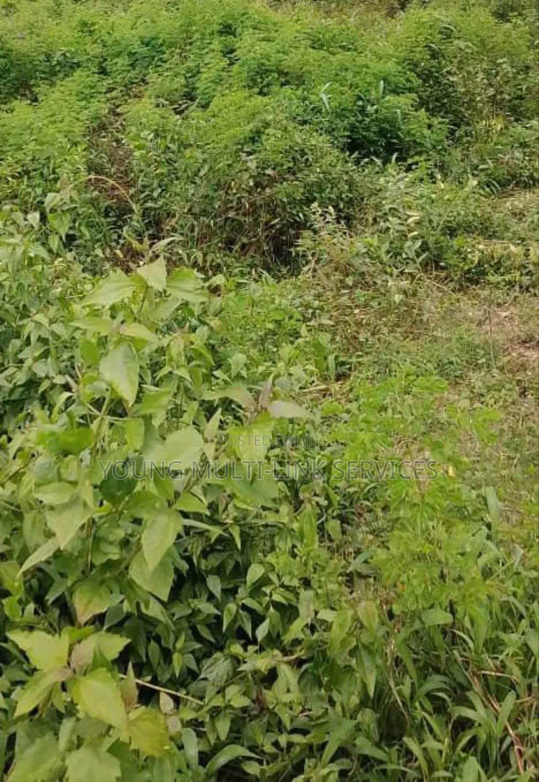 Distress Sale 1 and Half Plots of Land, in Ph in Rumuahalu