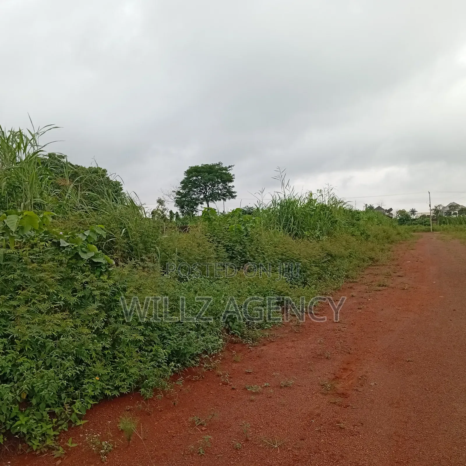 Over 5 Plots for Sale in Enugu