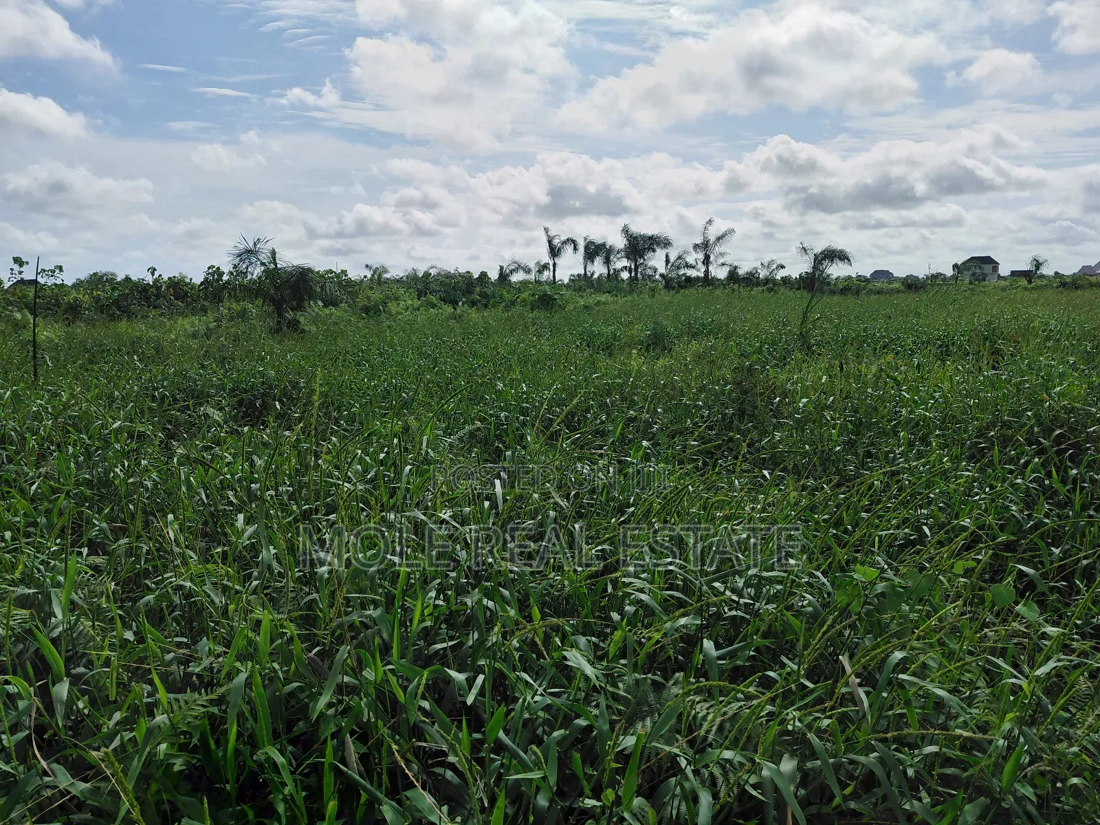 30ft by 120ft ( Half Plot ) Baptist Bustop Ijegemo New Expressway in Ijegun