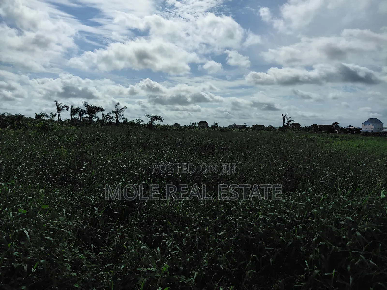 60ft by 120ft (Full Plot ) Sale/Lease Baptist Ijegemo in Ijegun