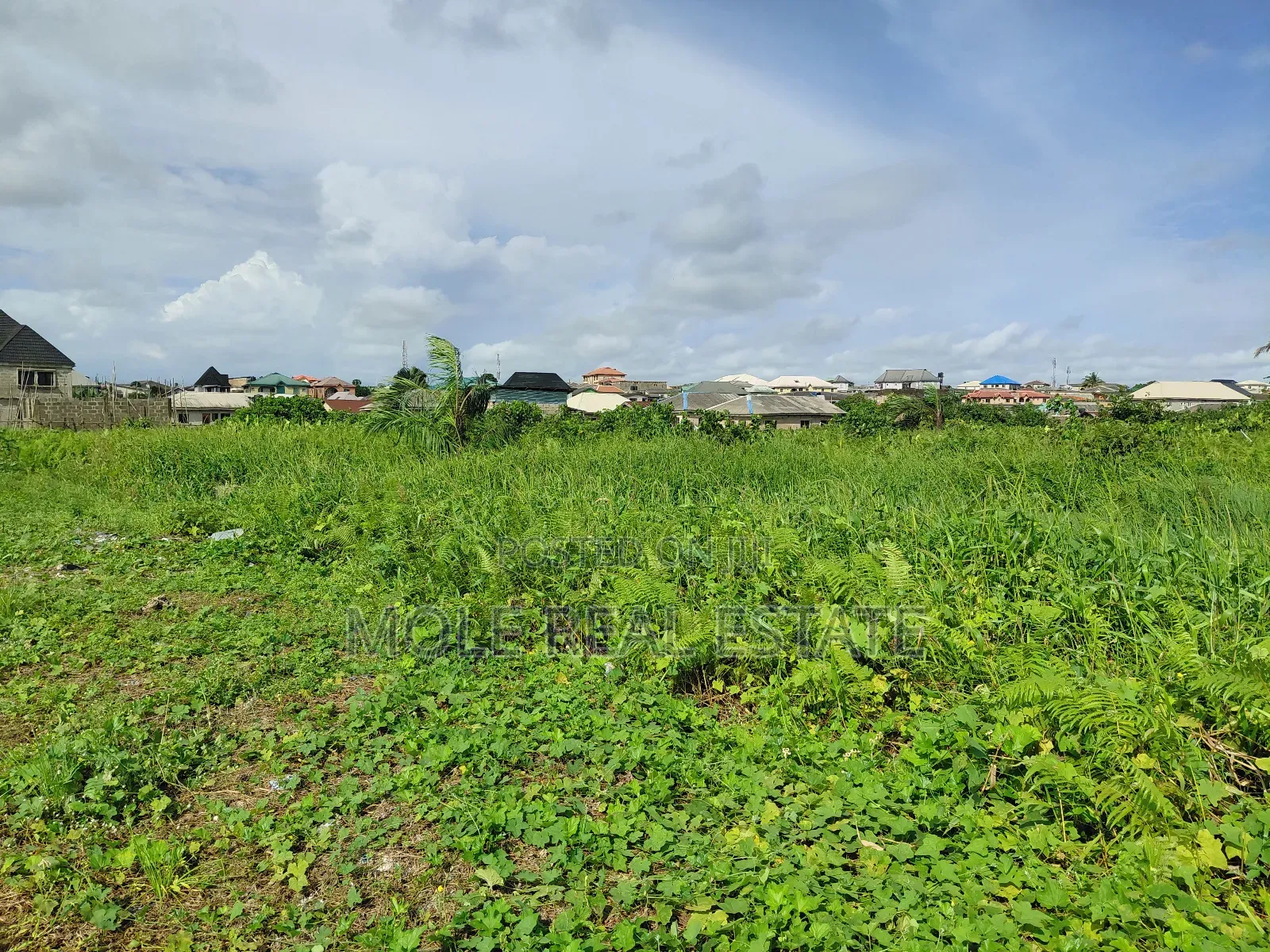 60ft by 120ft (Full Plot ) Sale/Lease Baptist Ijegemo in Ijegun