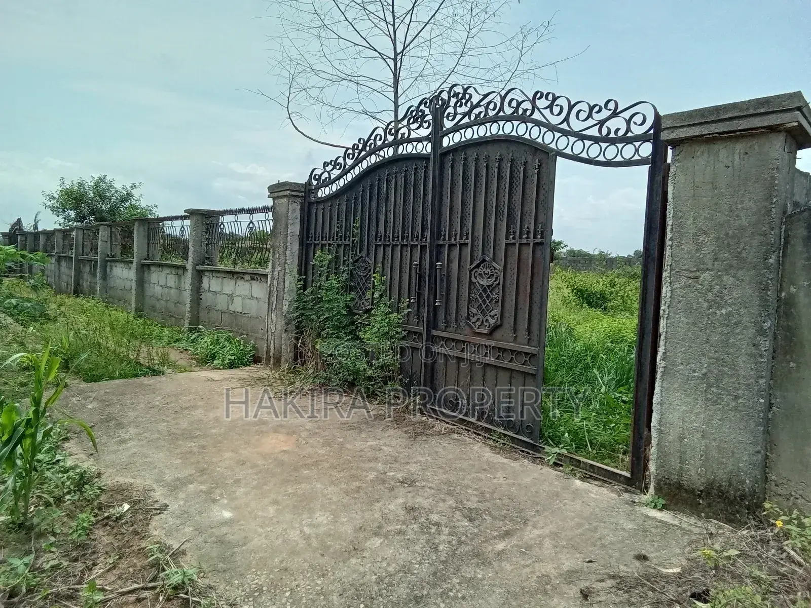 Cheapest Full Plot of Land in Ikorodu at Elepe in Ikorodu