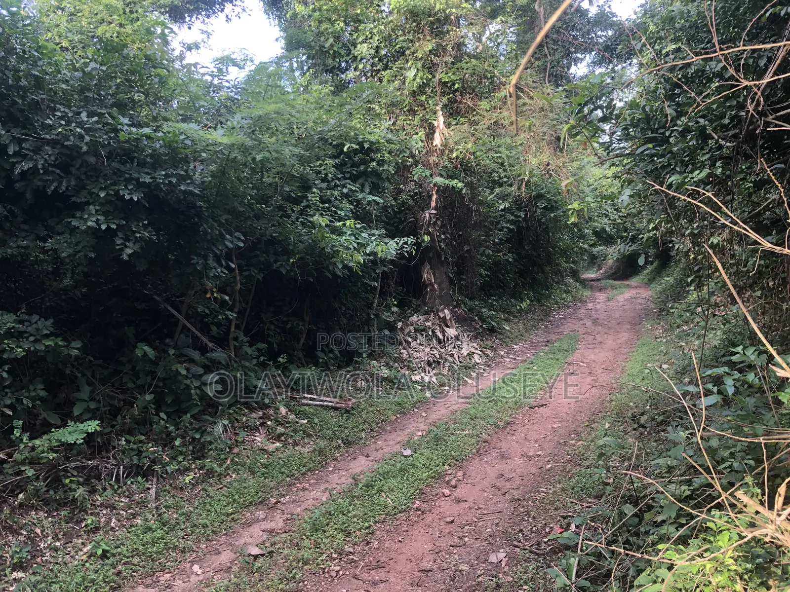 Good Farmland for Different Type of Agriculture in Obafemi-Owode