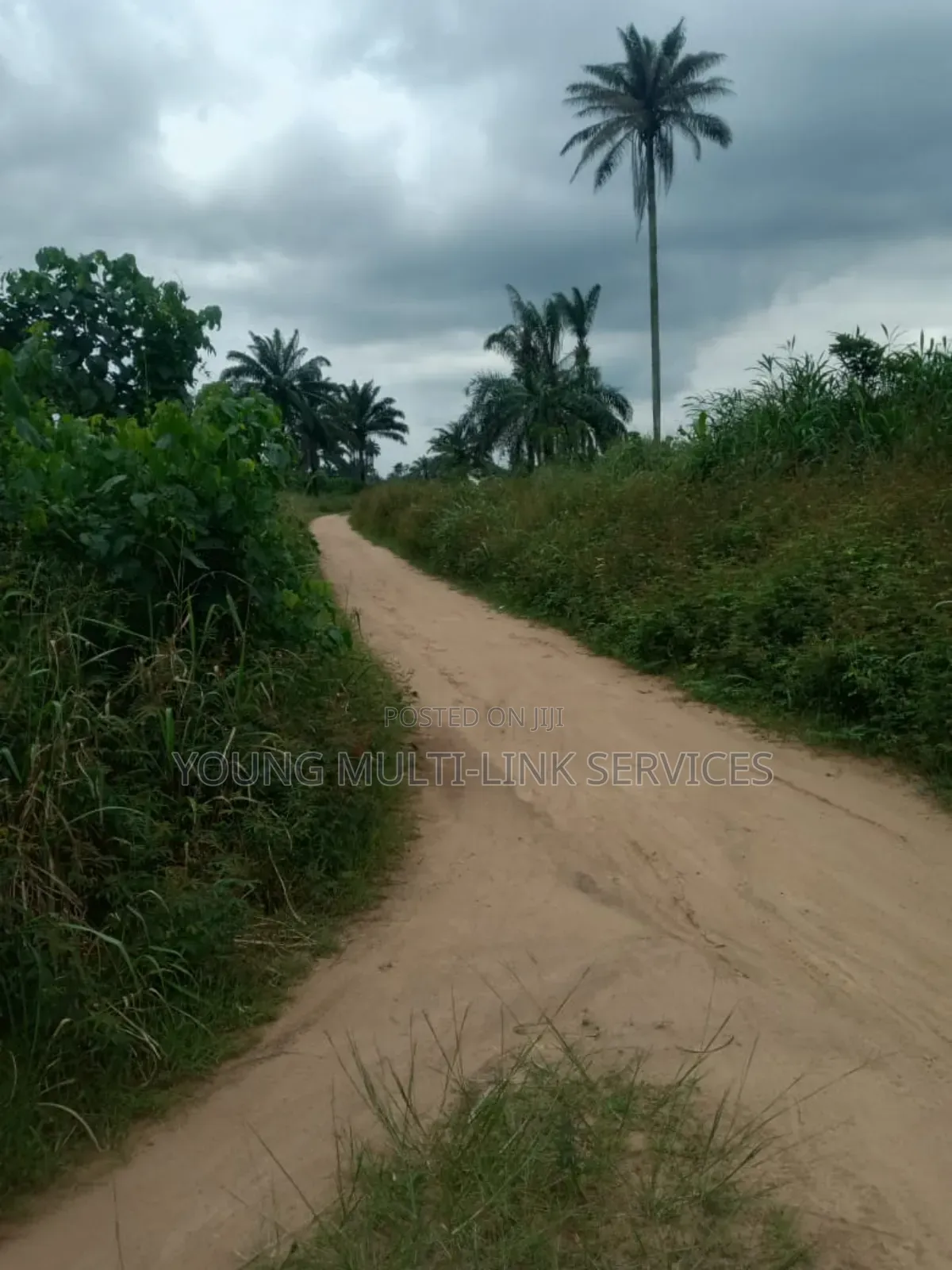 200 Plots of Land for Sells, in Odagwa Etche Rivers Ph in Etche