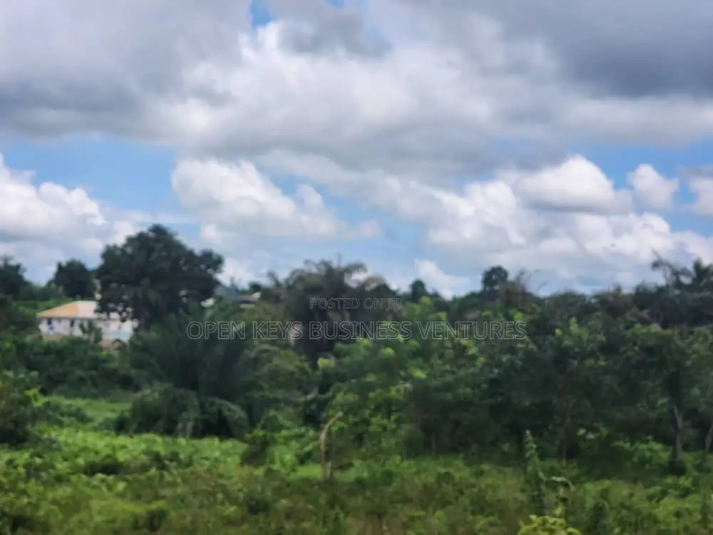 12 Plots of Residential Land in Ologuneru