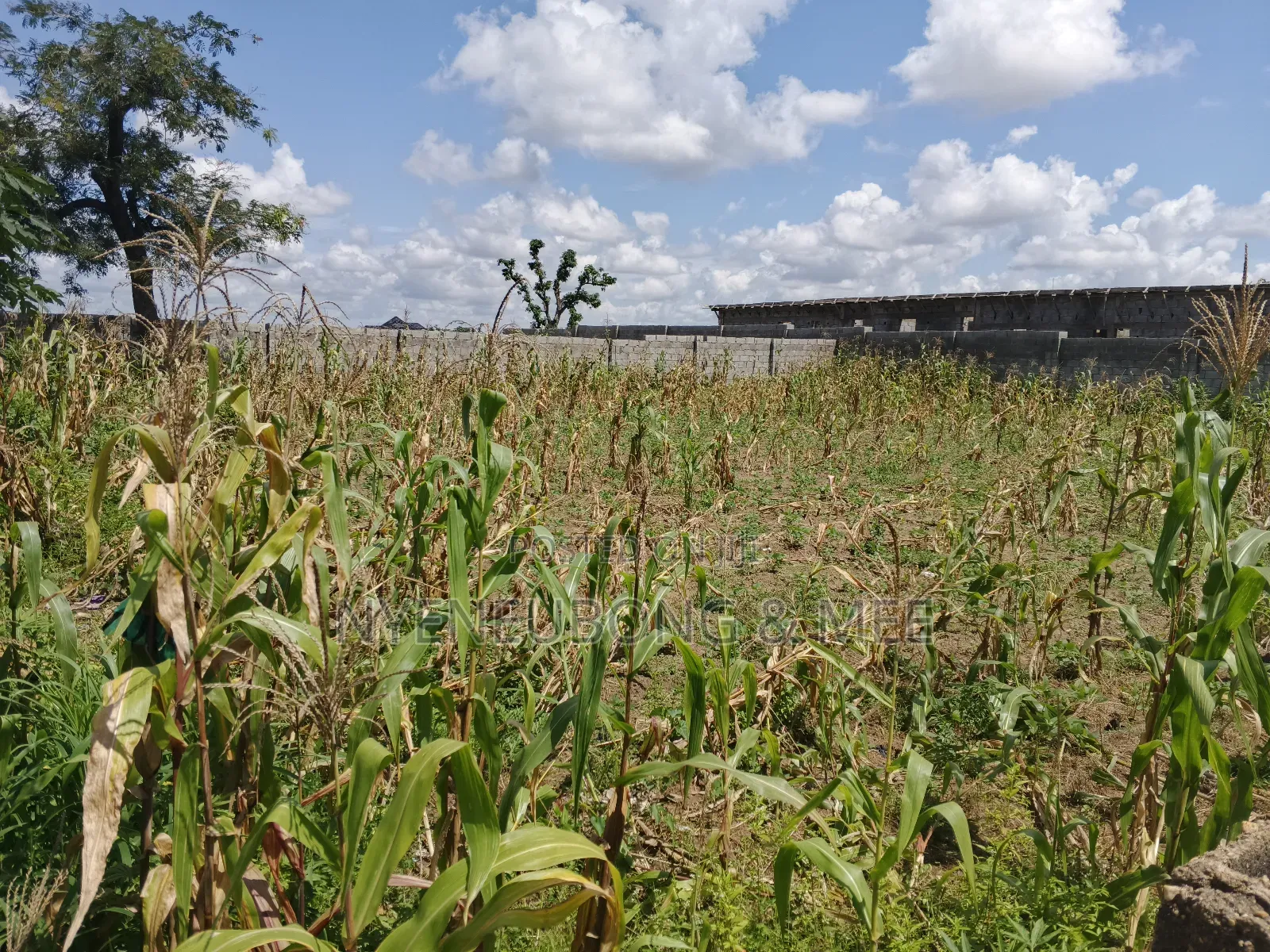1000sqm Virgin Land for Sale in Karu
