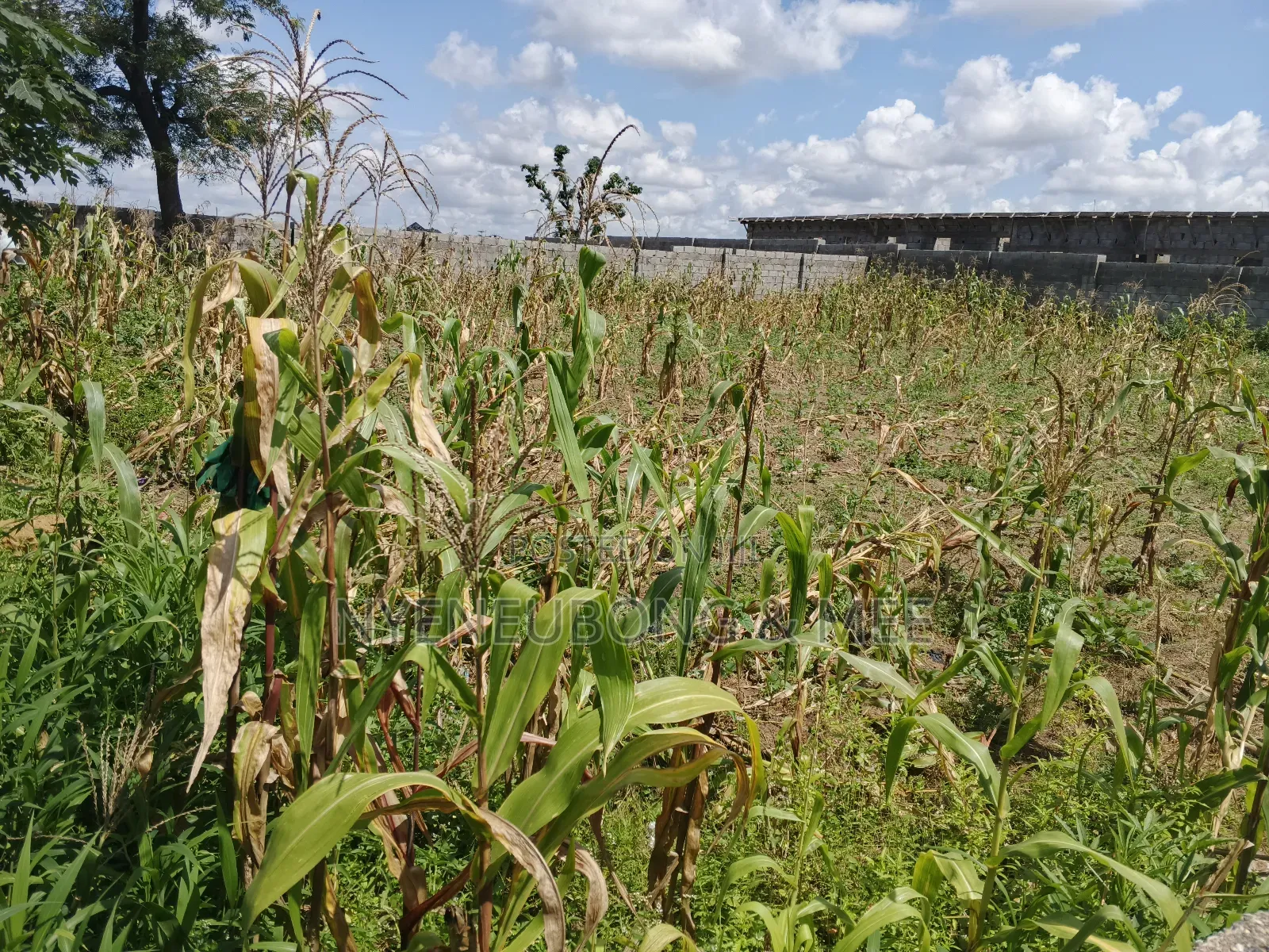 1000sqm Virgin Land for Sale in Karu