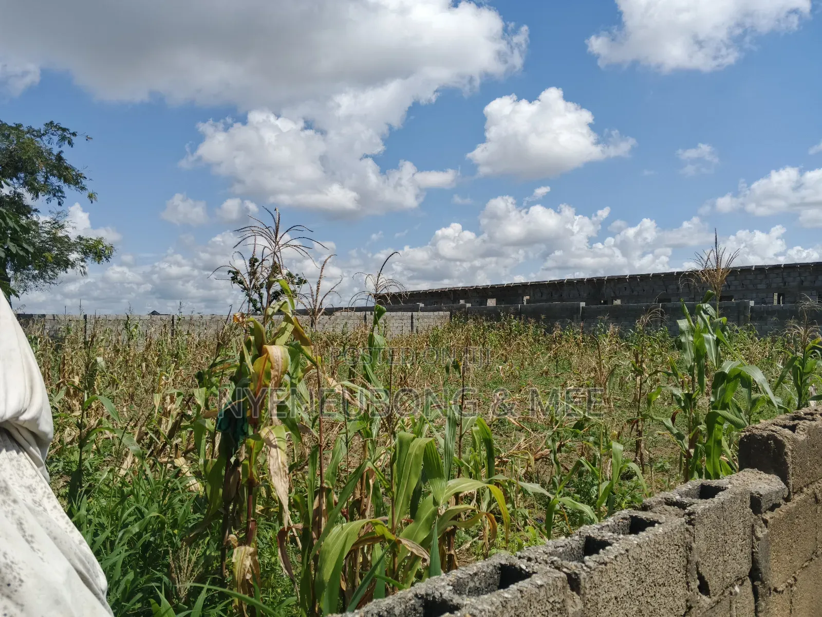 1000sqm Virgin Land for Sale in Karu