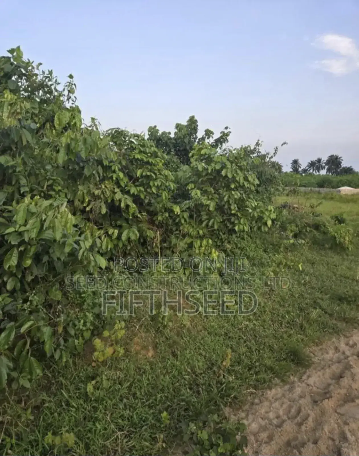Four Plots of Land for Sale at the Banana High Land of Portharcourt in Eleme