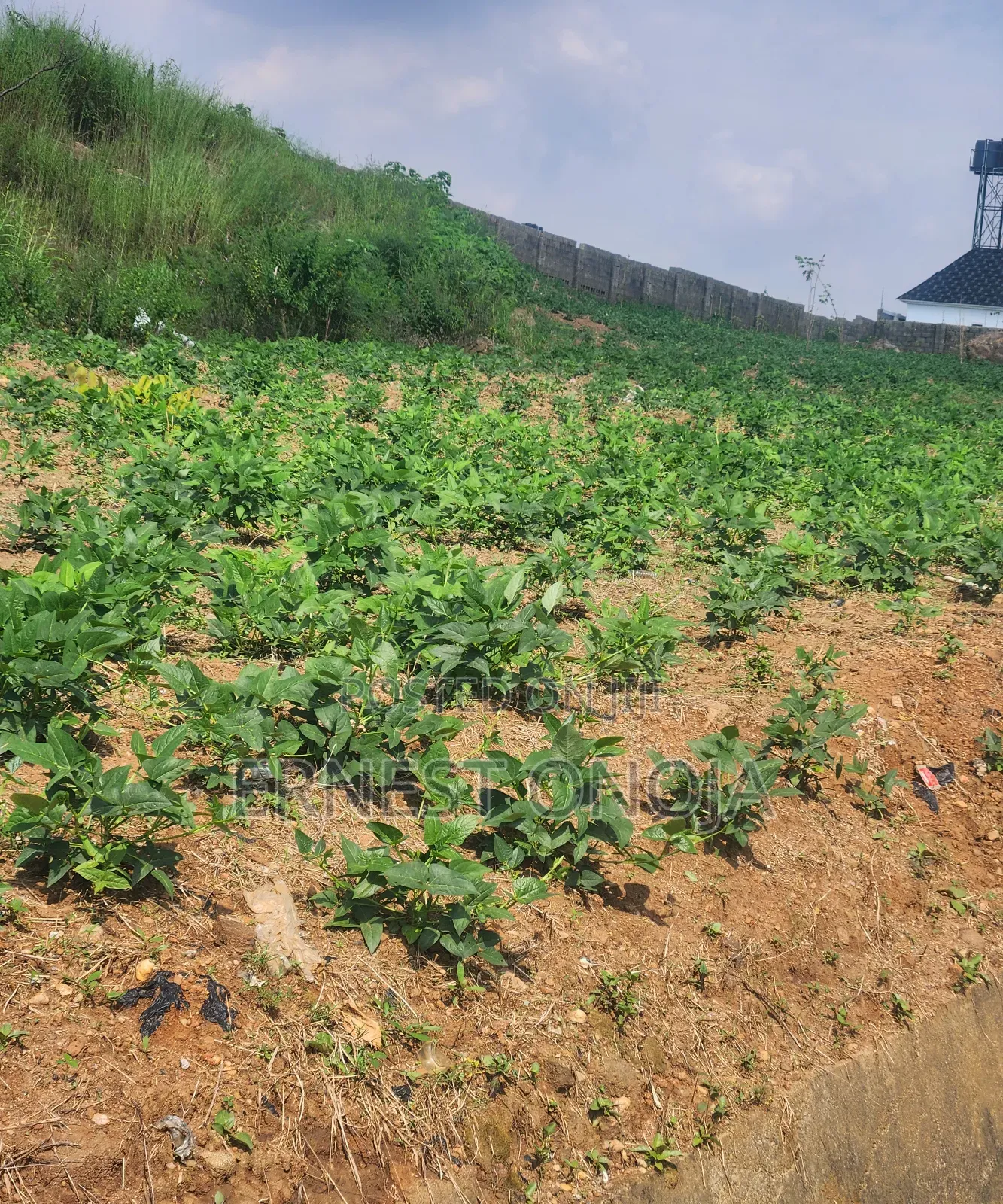 720sqm Residential Land in an Estate in Gwarinpa Extension for Sale in Gwarinpa