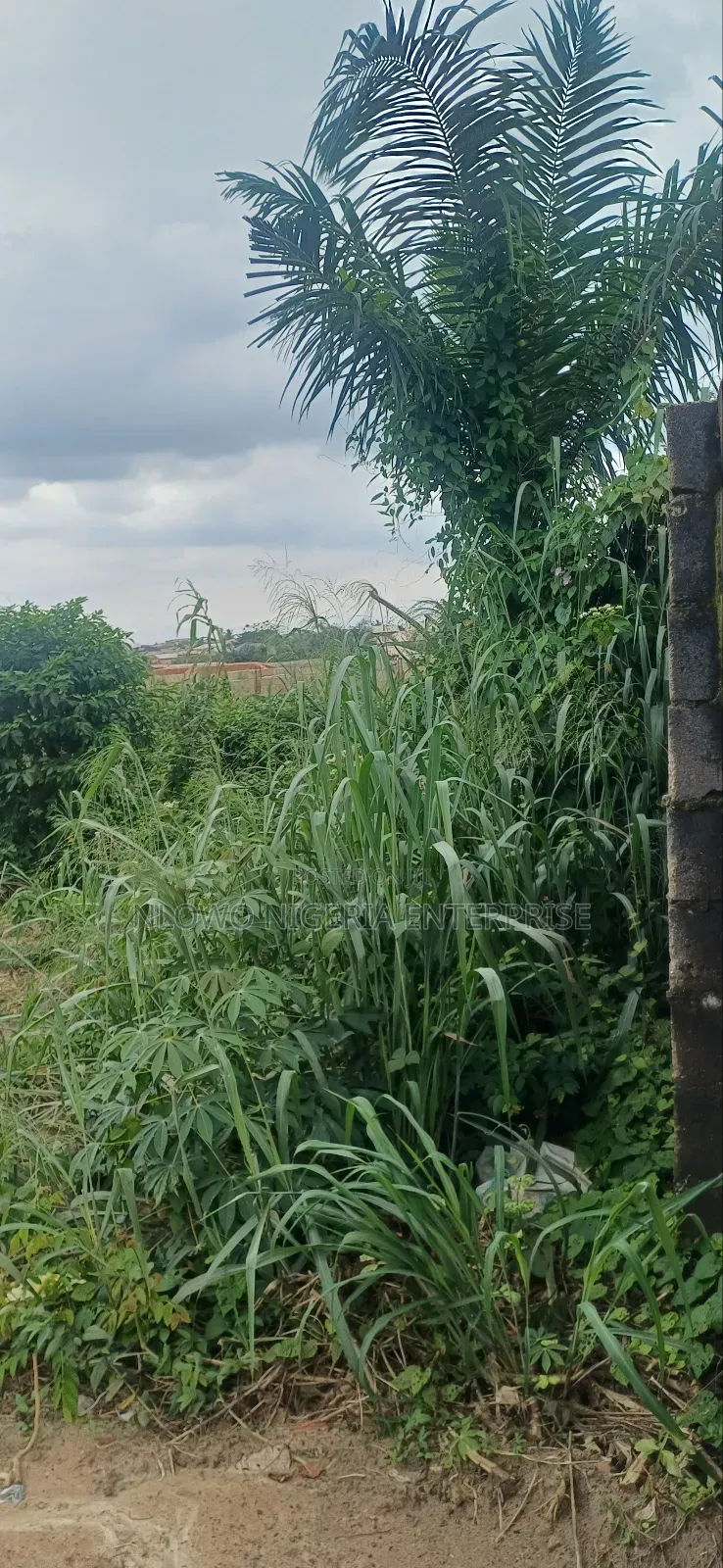 For Sale Full Plot Land at Kajola Estate Igbolomu, Agric Ikorodu Lagos in Agric