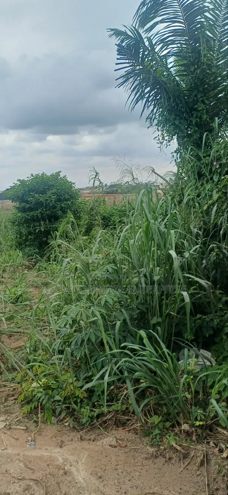 For Sale Full Plot Land at Kajola Estate Igbolomu, Agric Ikorodu Lagos in Agric