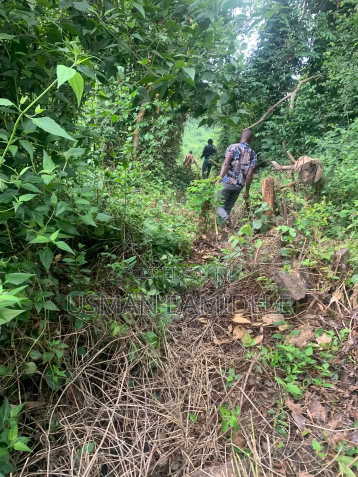Lands for Sale in Abeokuta North