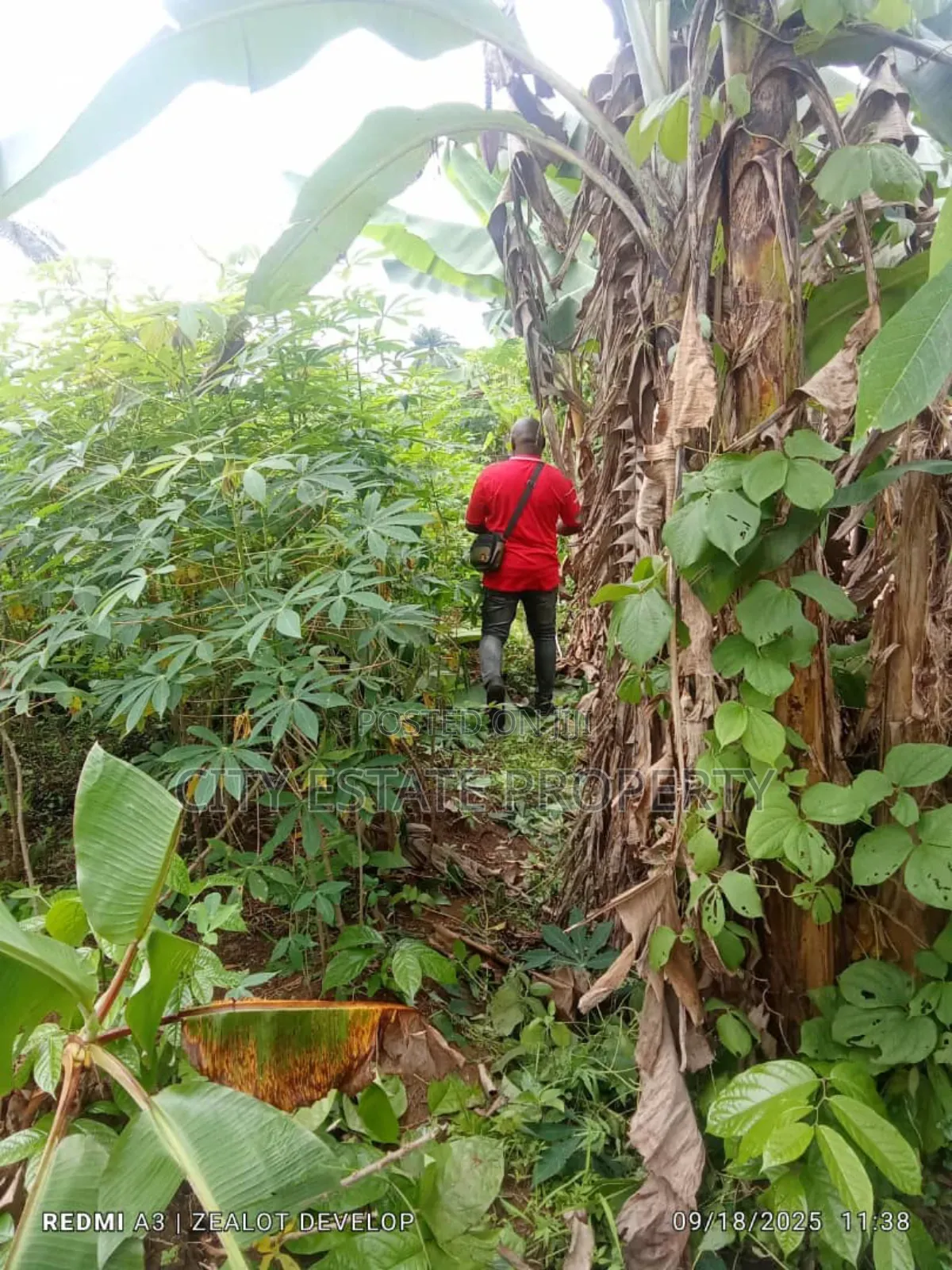 One and Half Plot of Land Omagwa Ph in Omagwa