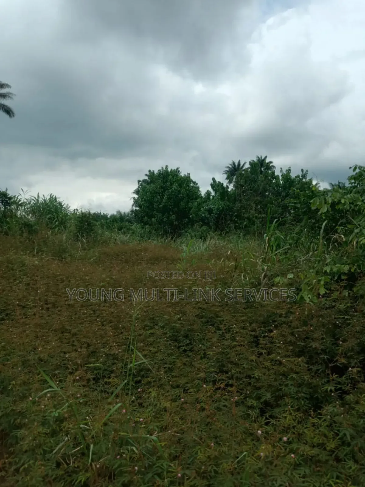 1 Acer of Farm Land for Sale in Ph Odagwa Etche, Hot Seals in Etche