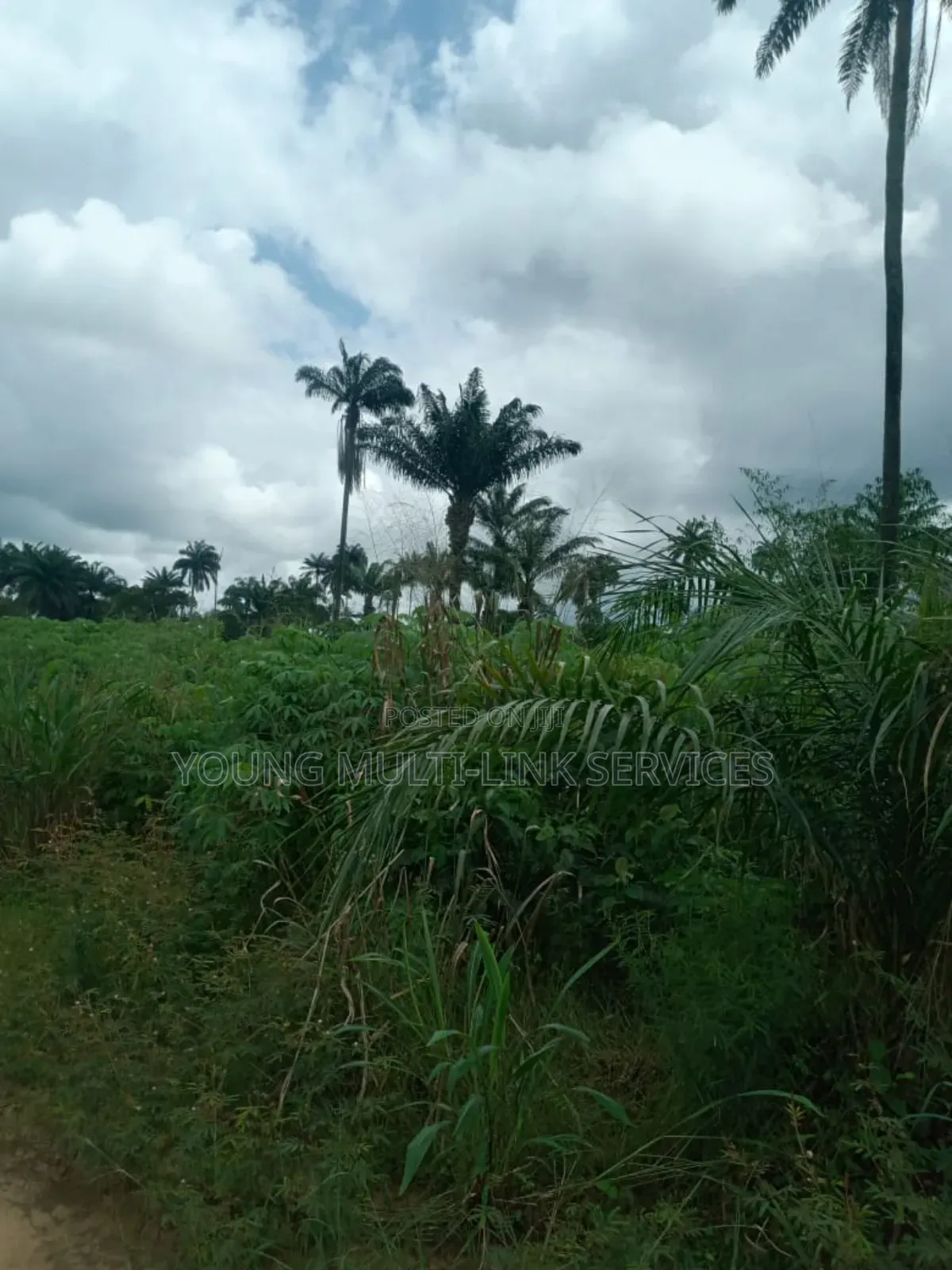 1 Acer of Farm Land for Sale in Ph Odagwa Etche, Hot Seals in Etche