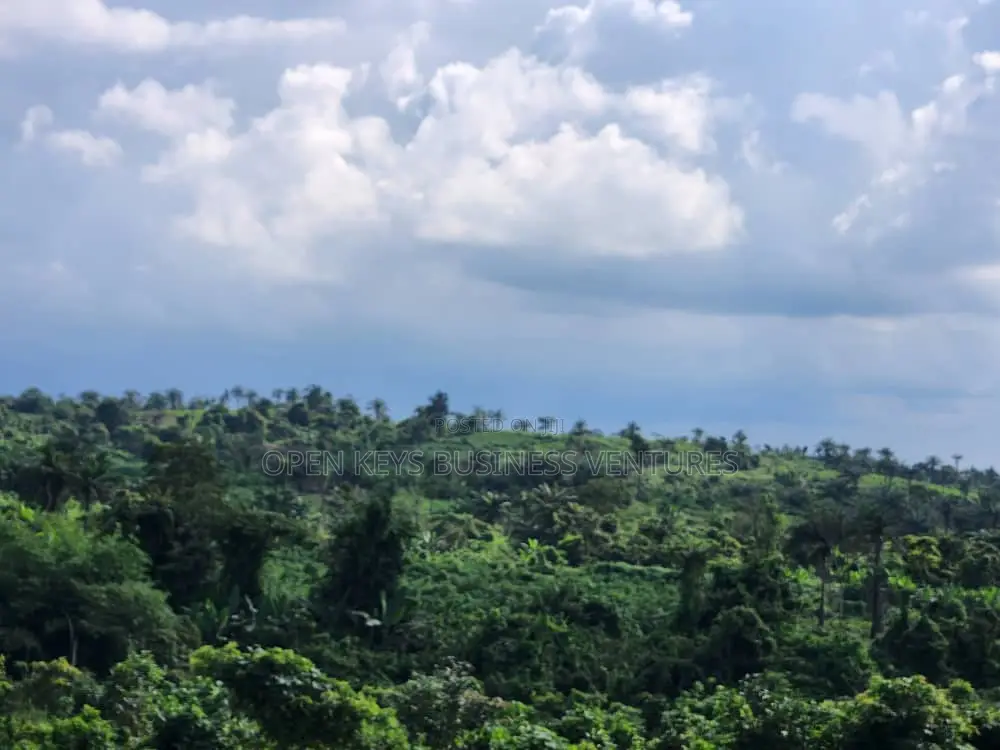 200 Acres on Circular Road in Ibadan in CHallenge / Ibadan