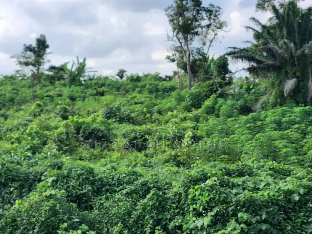 200 Acres on Circular Road in Ibadan in CHallenge / Ibadan