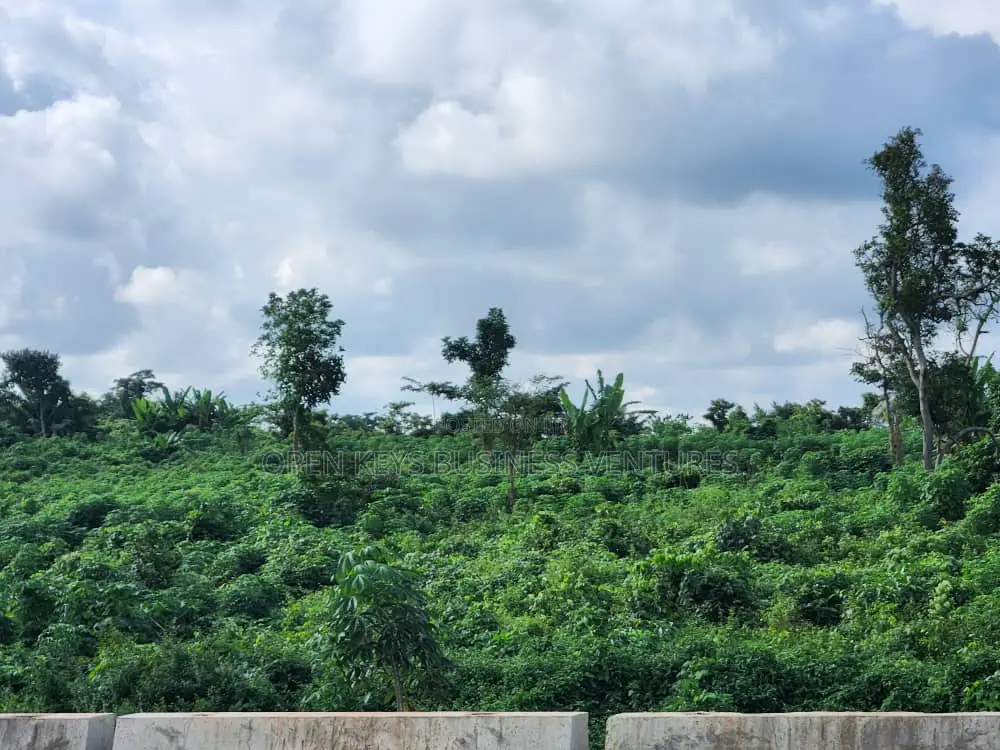 200 Acres on Circular Road in Ibadan in CHallenge / Ibadan