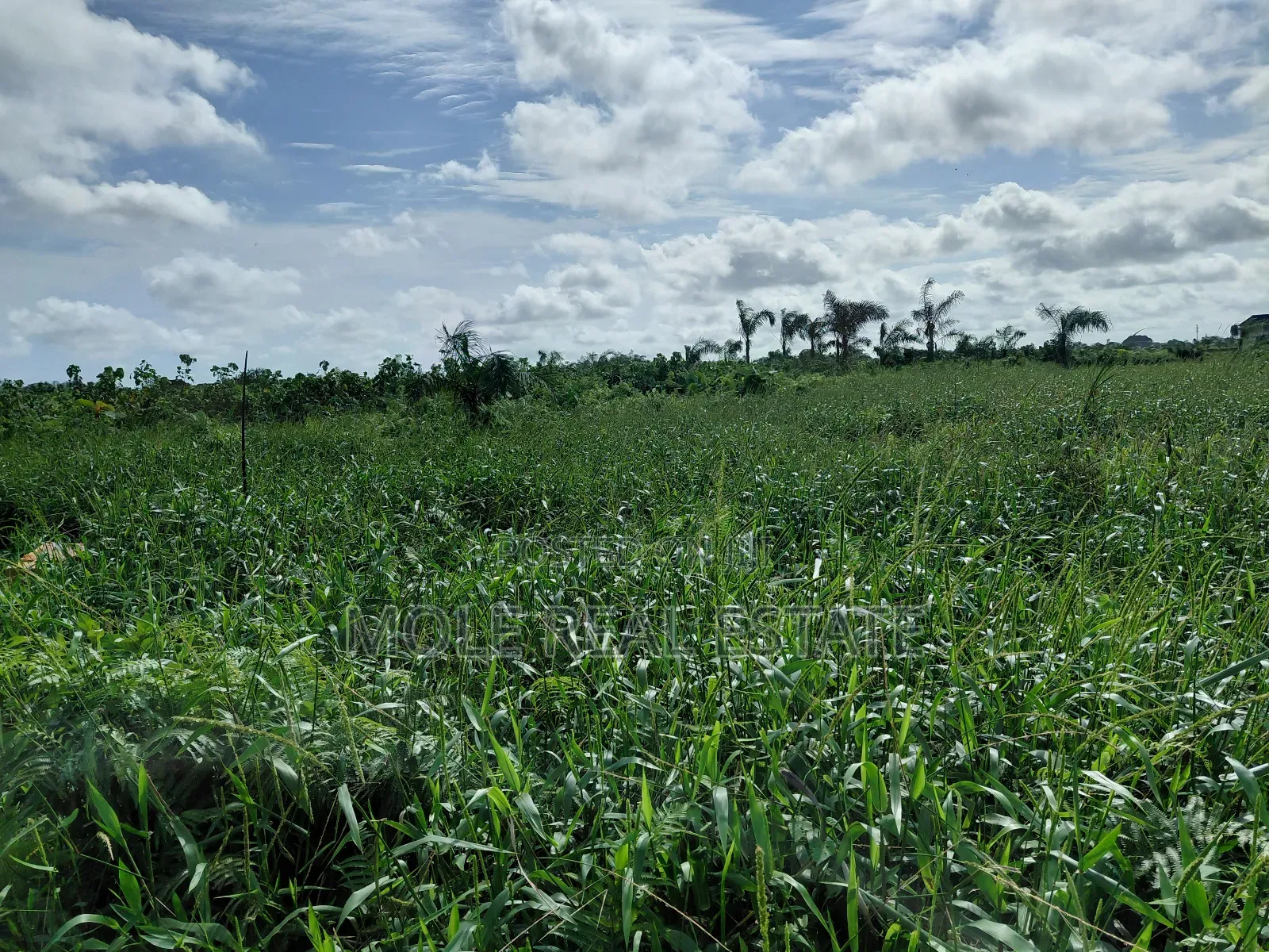 A Plot of Land in Olubode Estate Near Gowon Estate Egbeda Alimosho in Egbeda / Egbeda