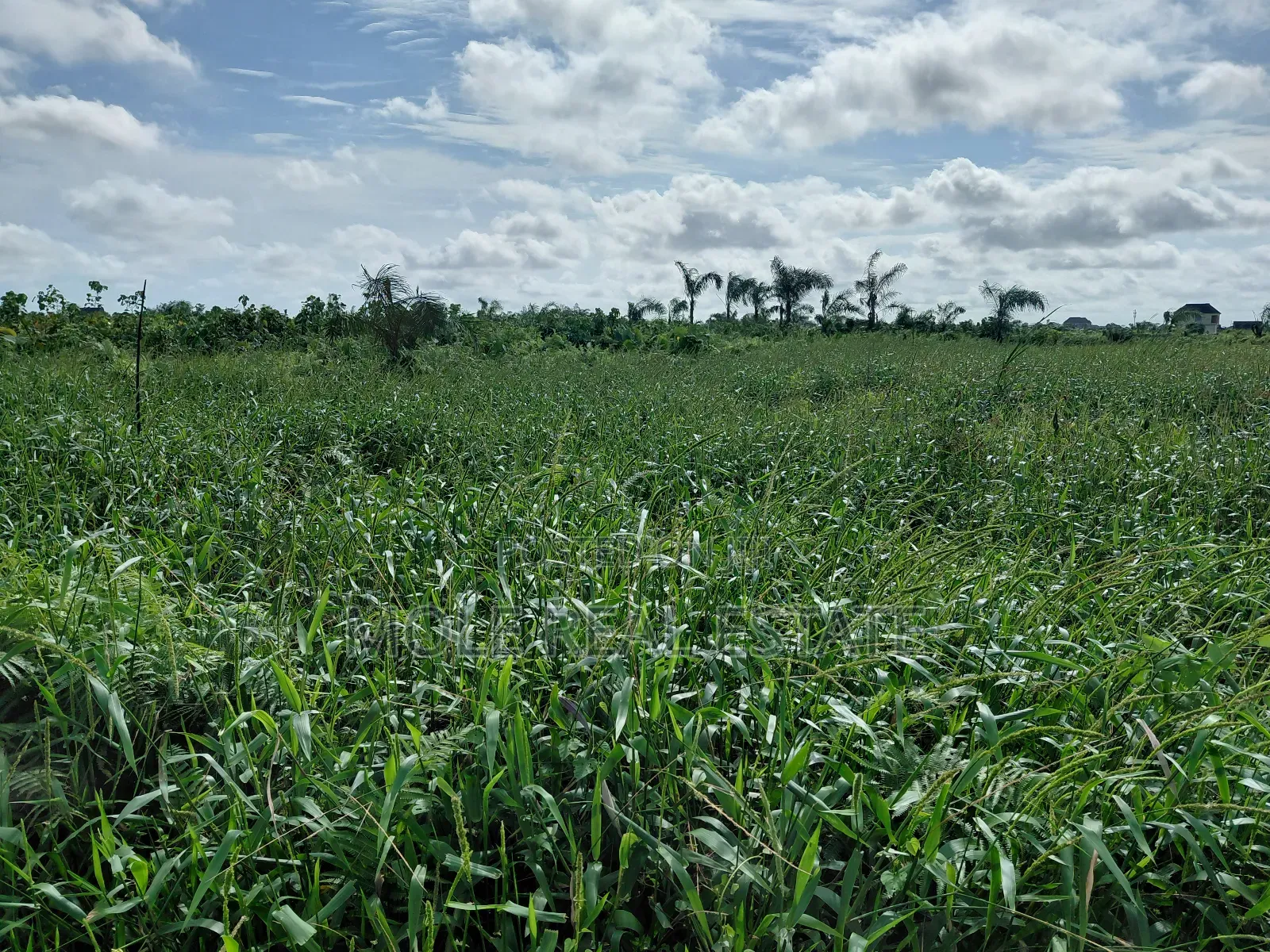 A Plot of Land in Olubode Estate Near Gowon Estate Egbeda Alimosho in Egbeda / Egbeda