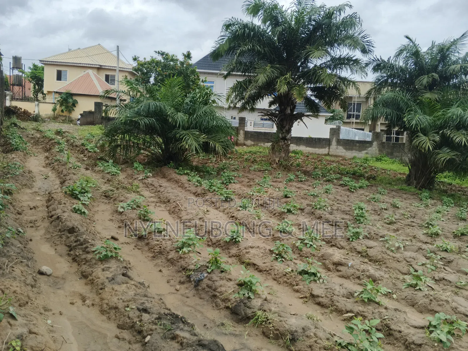 2000sqm. Land for Sale in Karu