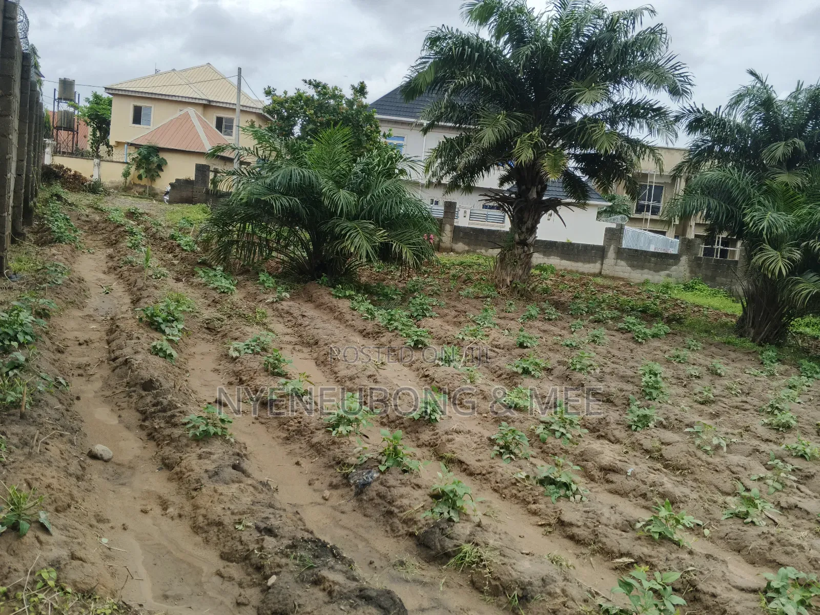 2000sqm. Land for Sale in Karu