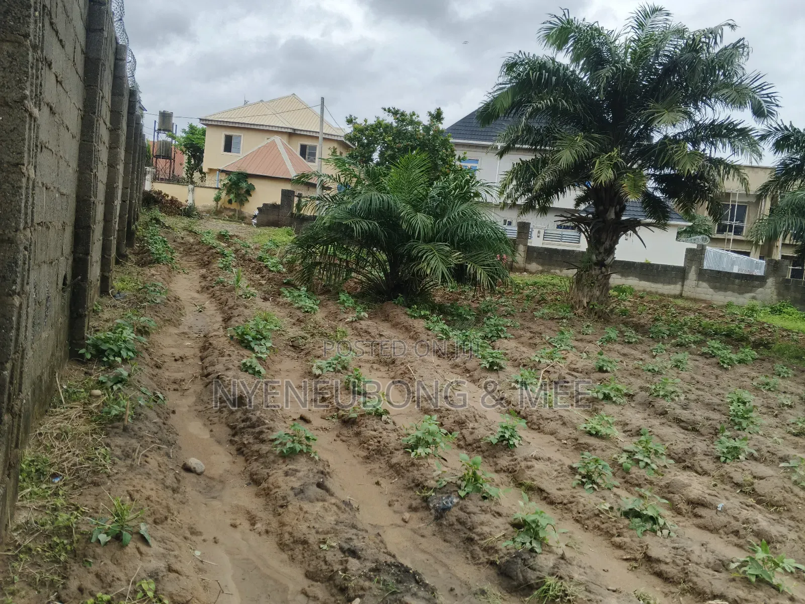 2000sqm. Land for Sale in Karu