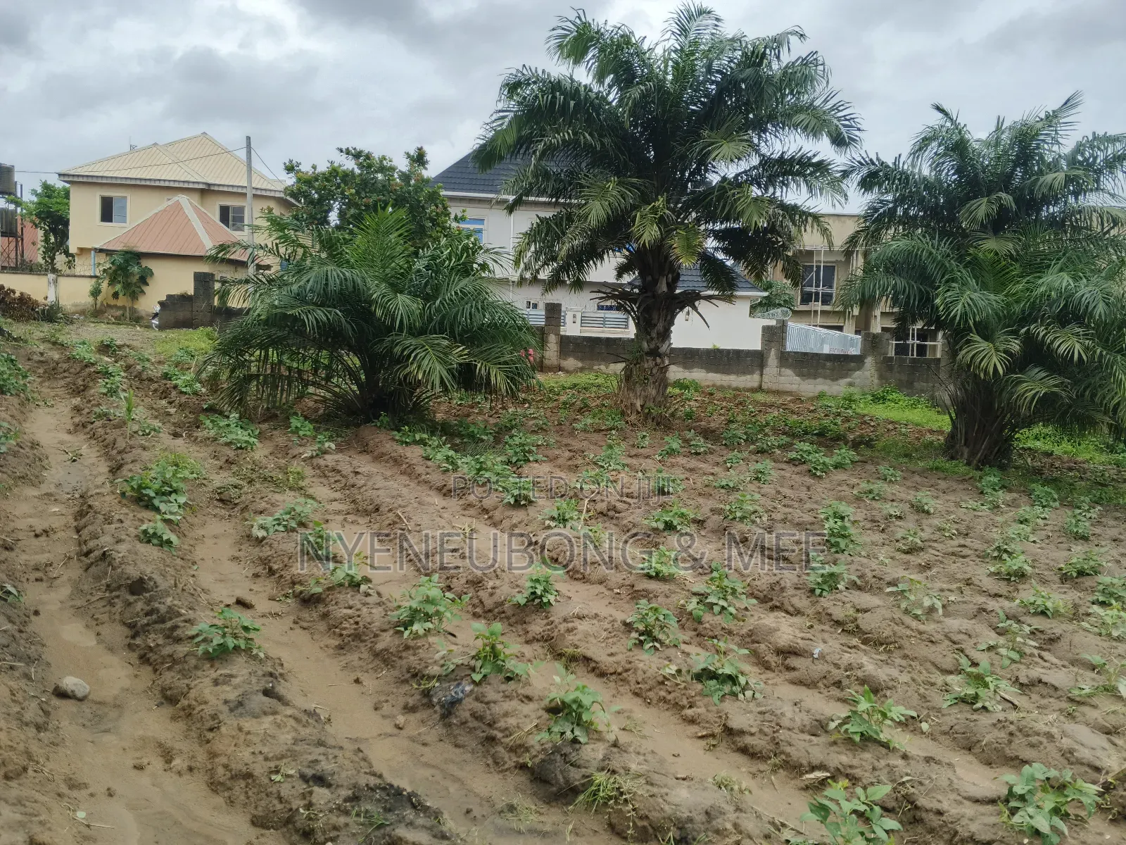 2000sqm. Land for Sale in Karu