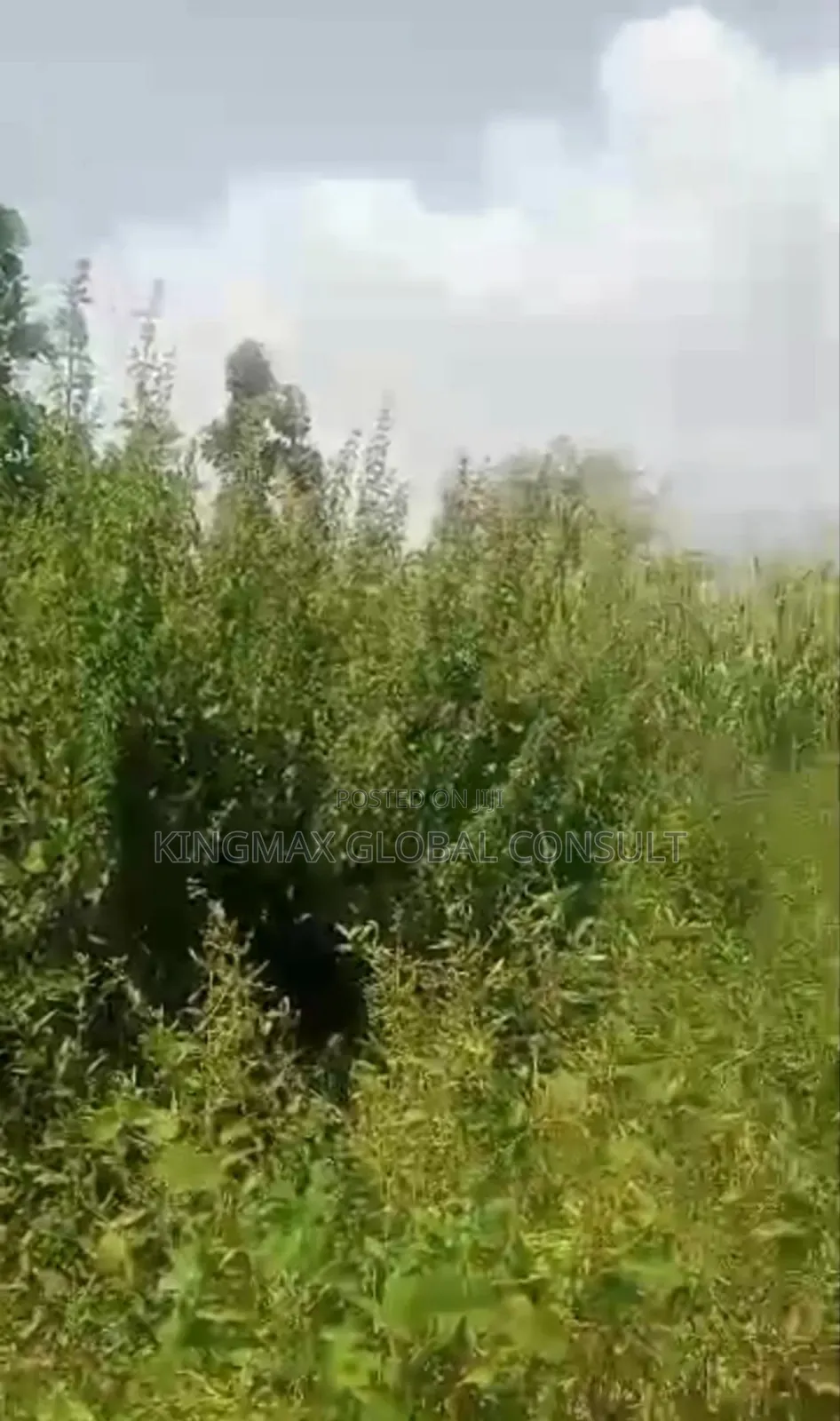 *Karsana North Mass Housing Plot for Urgent Sales* in Gwarinpa
