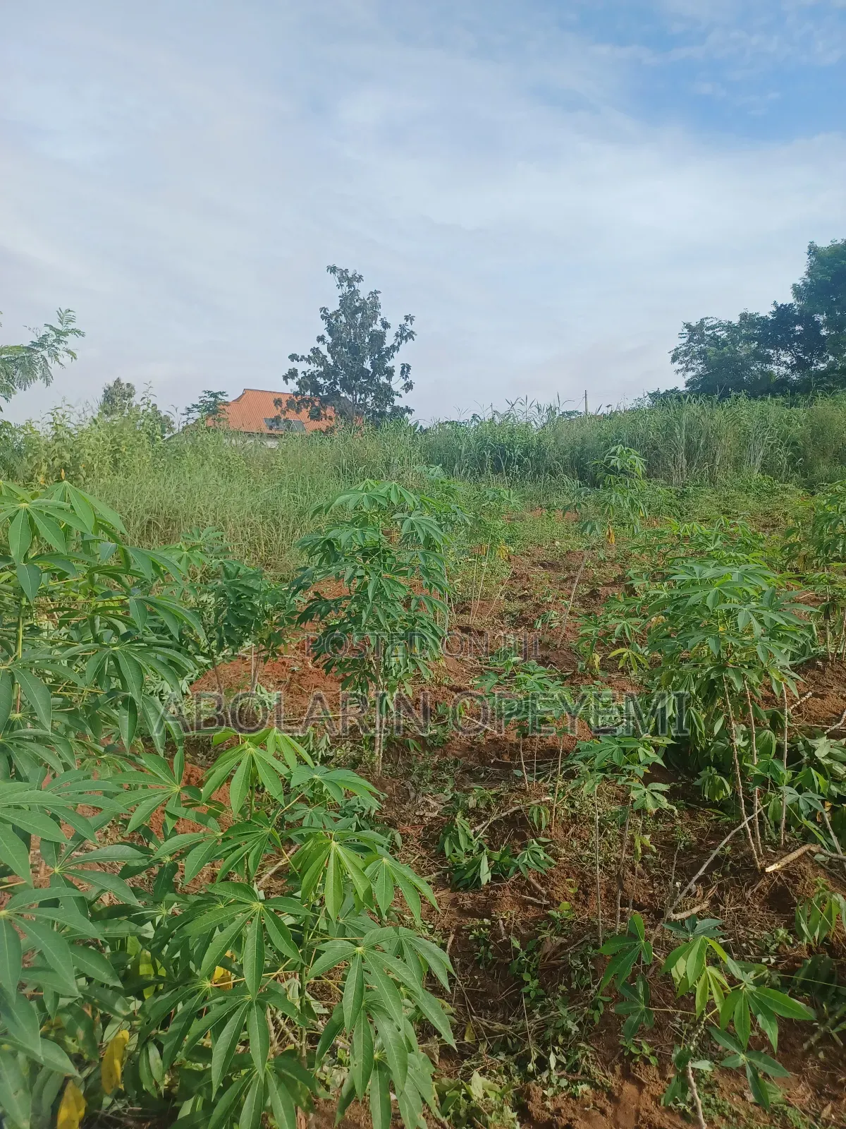 Plot of Land for Sale at Kemta Housing Behind Wolesoyinka House in Abeokuta South