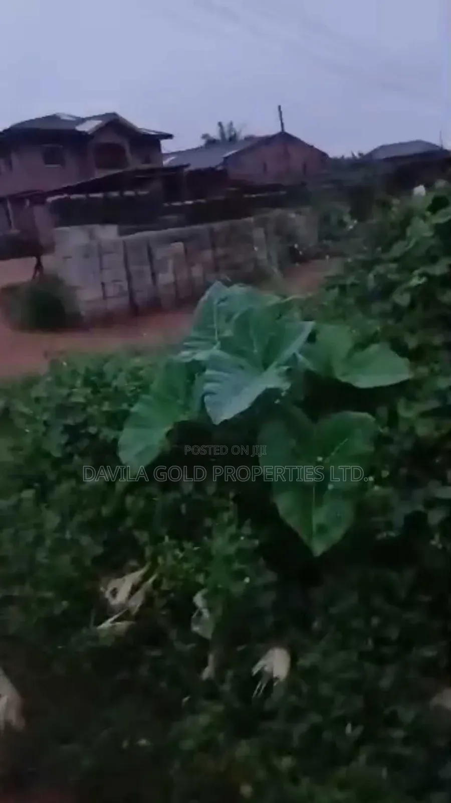 Rare Opportunity! Land Behind Uselu Market for Sale in Benin City